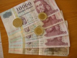 Forintul se prăbuşeşte odată cu pensiile private din Ungaria