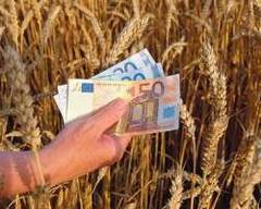 Cum a fost transformată România intr-un mare exportator de cereale de propagandă politică
