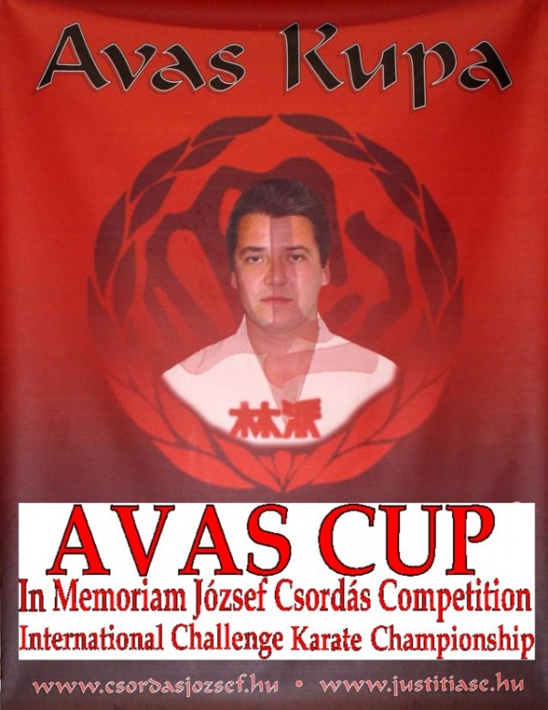 Karate Do Carei la Avas Cup