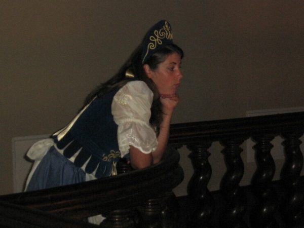 arhivari castel fata carei