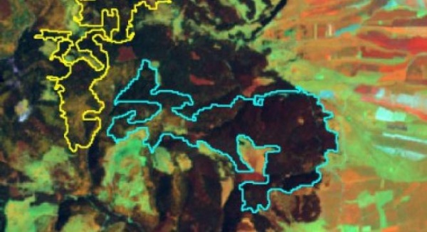 magini NASA confirmă dezastrul din pădurile româneşti: sute de hectare de molid au dispărut din Harghita în numai trei ani