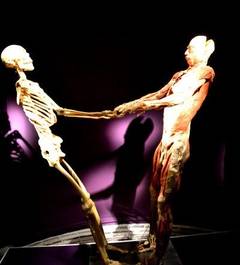 Record de vizitatori la expozitia „The Human Body”