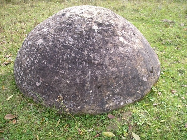 bolovani buzau