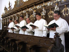 Un ordin călugăresc al Vaticanului revendică Băile Felix