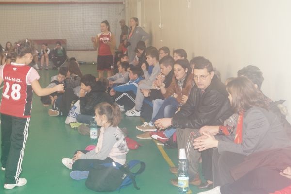 baschet carei spectatori turneu