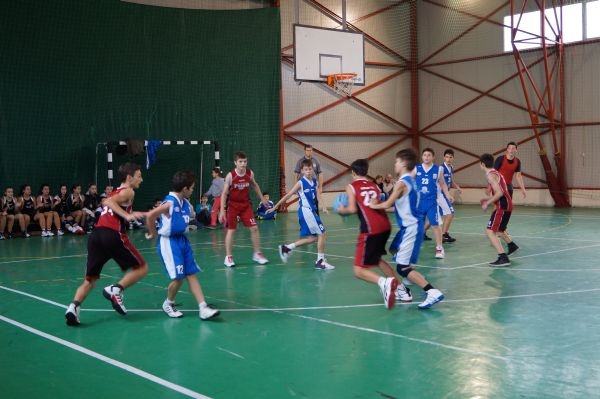 baschet carei turneu