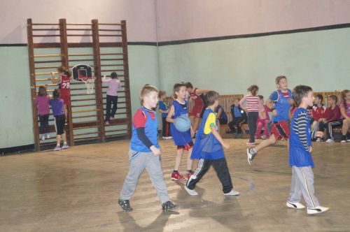 baschet pitici 2carei