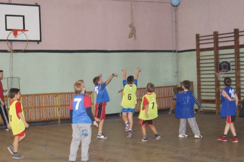 baschet pitici carei