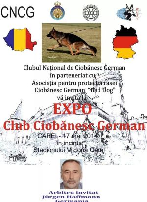 EXPO Club Ciobănesc German la CAREI