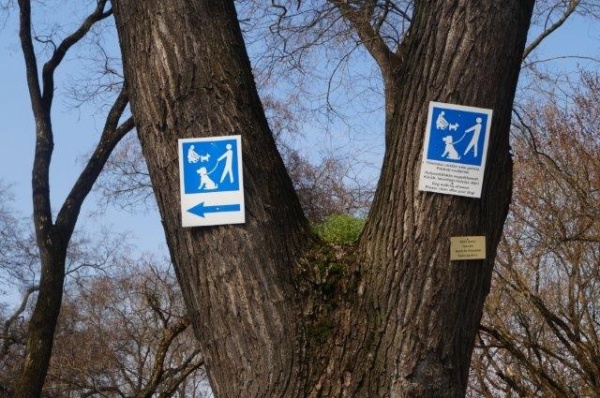 Recunoaşteţi copacul pe care sunt bătute în cuie indicatoarele?