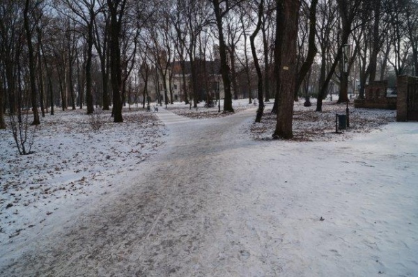 Iarna pe aleile parcului….atenţie la gheţuş