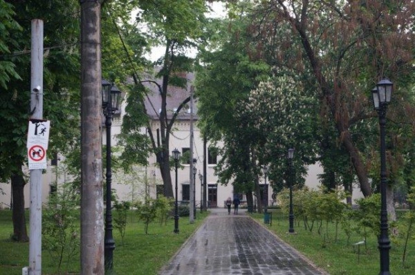 DSC06230
