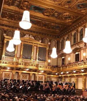 Filarmonica de Stat „Transilvania” din Cluj-Napoca a ridicat sala în picioare la Viena