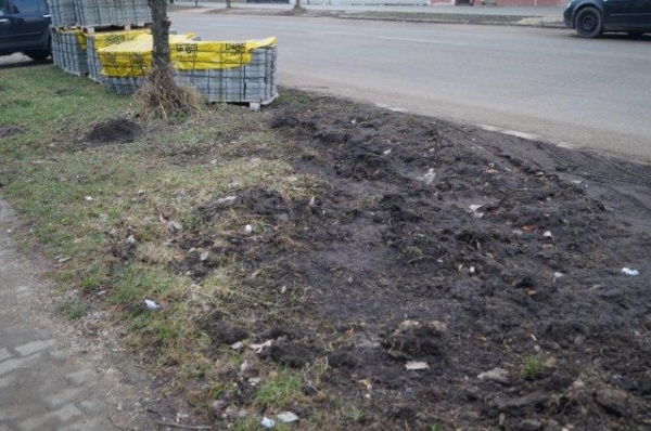 spatiu verde arat ignisului