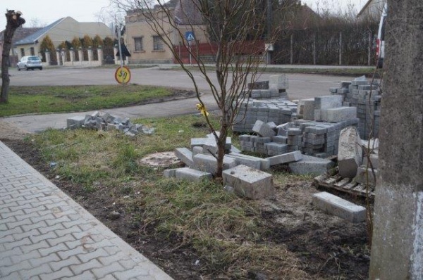 spatiu verde coposu