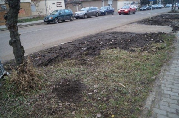 spatiu verde ignisului