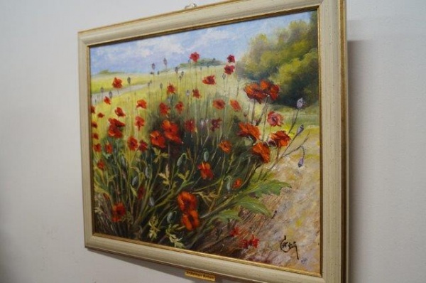 picturi expo carei