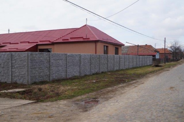 scarisoara case 2