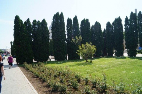 9 mai Carei (119)