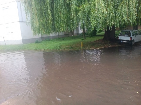 Locuitorii din cartierul Republicii din Carei reclamă canalizare ineficientă