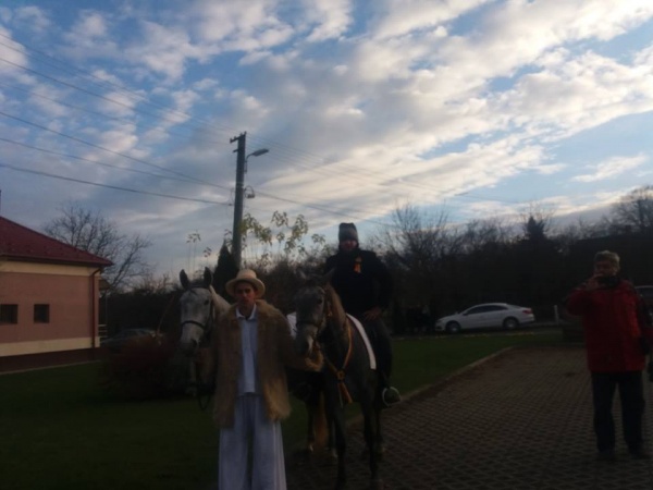 centenar cai cipri
