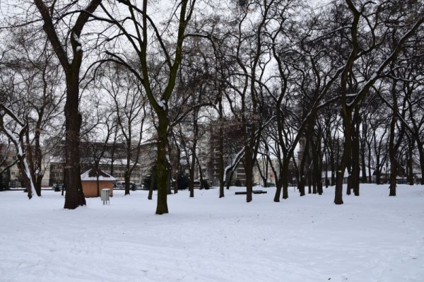 parc derdelus1