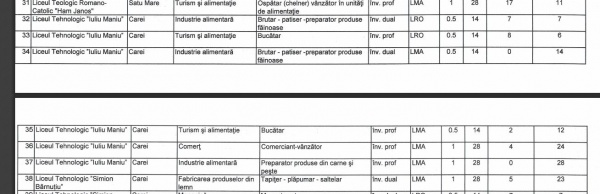 Interes redus pentru clasele de meserii cu predare în limba maghiară de la Carei. Nicio clasă cu predare în limba română pentru comercianți