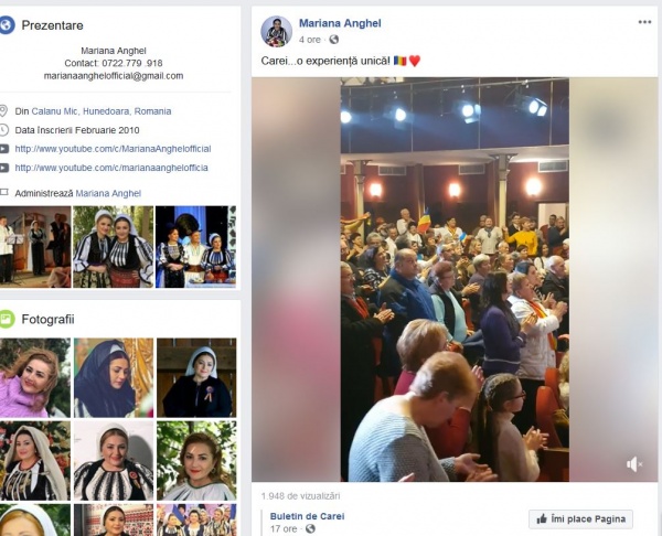 mariana anghel carei fb