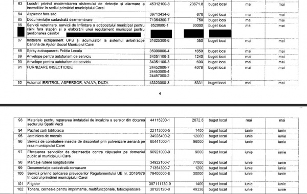 achizitii caini adapost