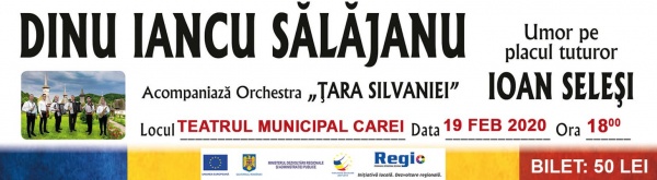 dinu iancu salajan proiect