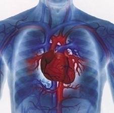 Recomandări pentru sănătatea inimii