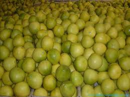 Patru tone de pomelo,posibil contaminate au fost sechestrate la Cluj