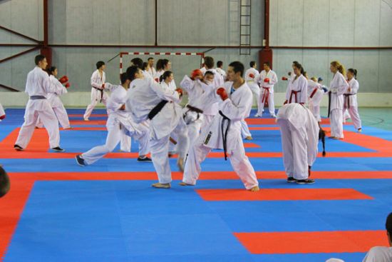 Campionatul Mondial de karate din Polonia
