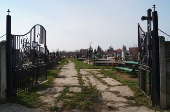 Cimitirul Rozalia din Carei