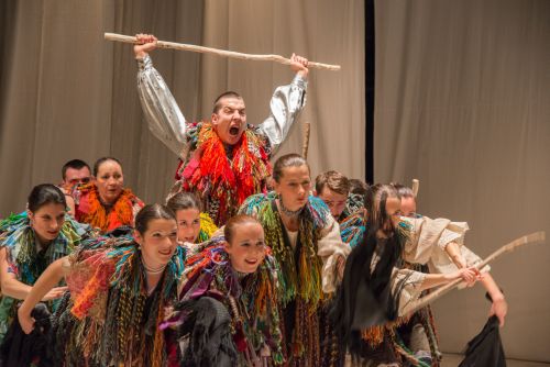 Festival Internațional de Teatru la Satu Mare. Program