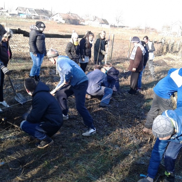 Plantare de puieți în comuna Tiream. Se caută voluntari
