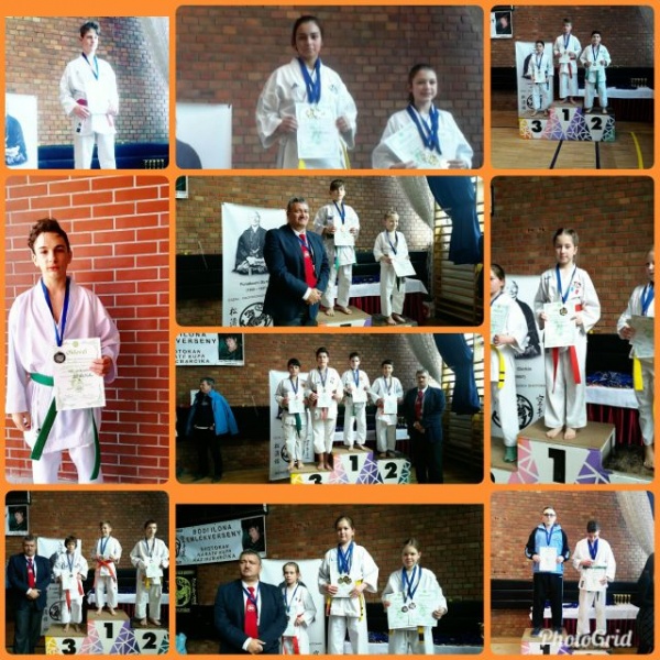 Salbă de medalii pentru karateka careieni la Memorialul Bódi Ilona