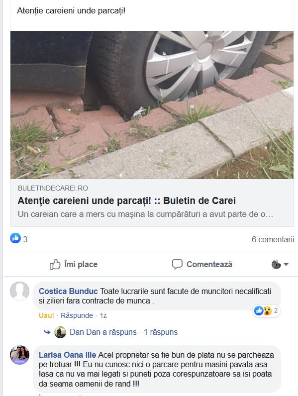 atac larisa ilie