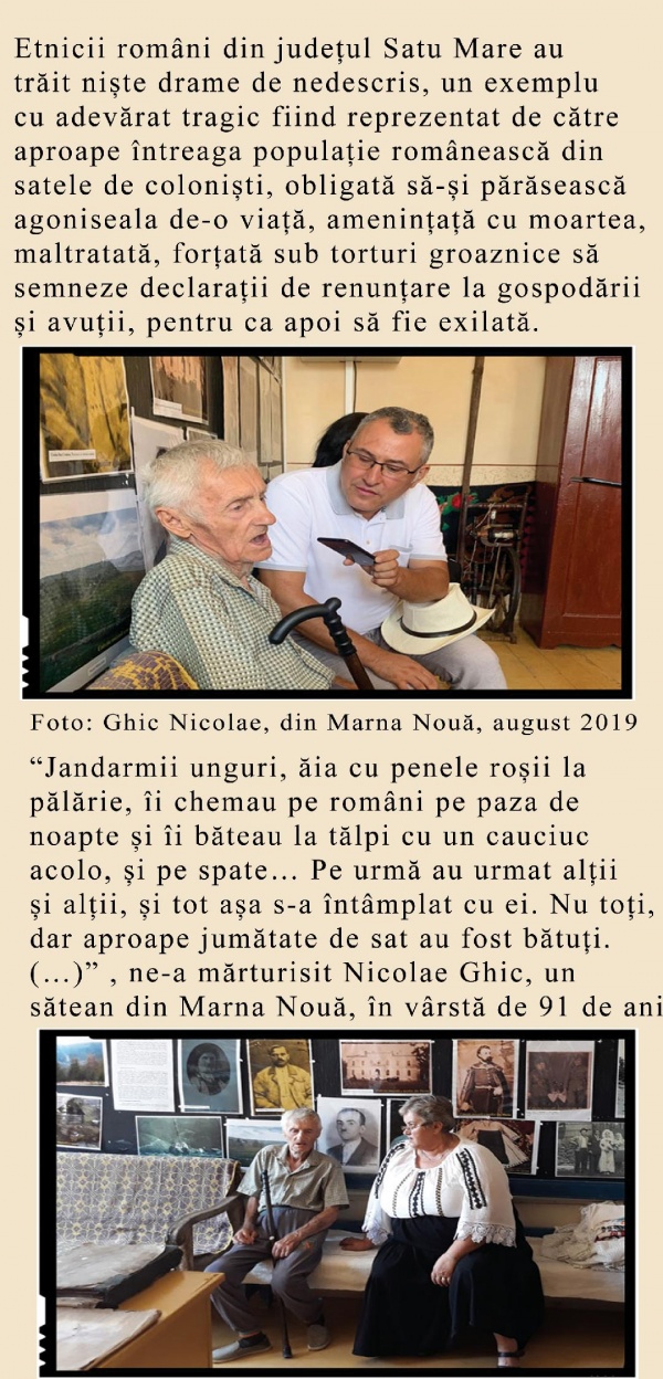 dictat viena marna