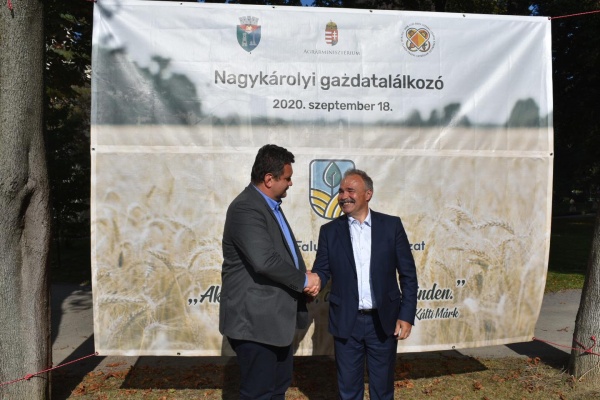 udmr primaria carei