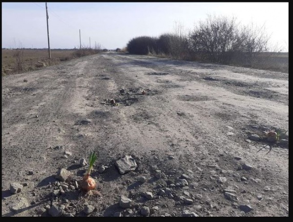 Au plantat ceapă și cartofi pe drumul județean 195 C spre Sânmiclăuș