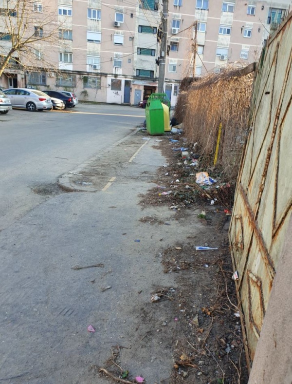 Containere de gunoi pe trotuarul de pe strada Titulescu din Carei. Galerie FOTO