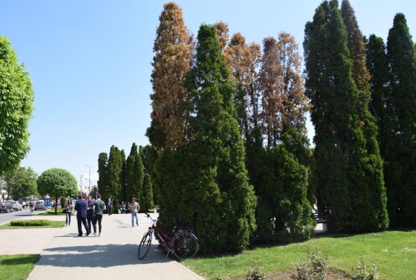 S-a emis Certificat de Urbanism pentru ,,eliberarea,, Monumentului Ostașului Român