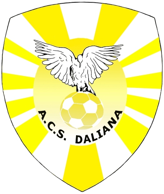 Fetele care vor să practice fotbalul se pot înscrie la clubul Daliana Carei
