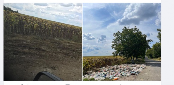 Gunoaie înlăturate la intervenția presei și a societății civile. Cazul accidentului de pe centura Carei