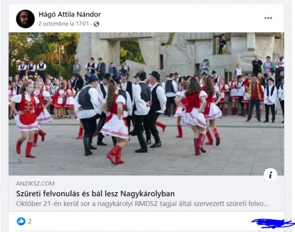 Un director de muzeu din Carei și programul de la balul strugurilor