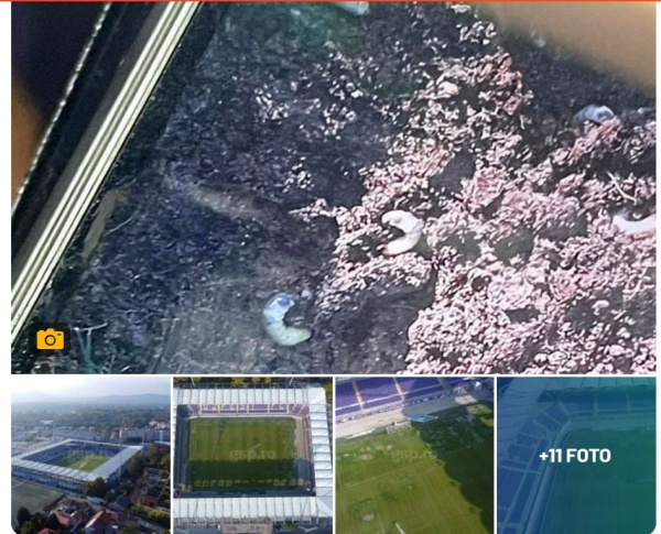 ,,Ciori și larve,, pe stadionul din Budapesta reclamă selecționerul echipei României