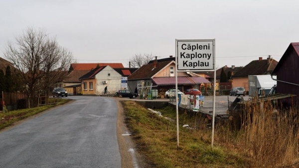 Furt la Căpleni. Bijuterie furată de o tânără din locuința unui bărbat