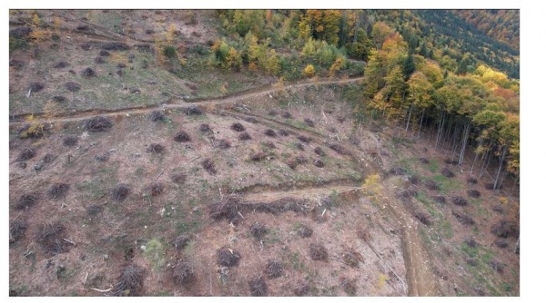 Control superficial al gărzii forestiere Cluj în ocolul Someș-Țibleș – Jaf în Parcul Național Munții Rodnei