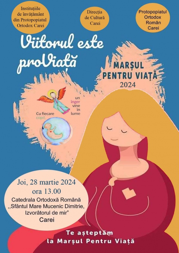 Marș Pro-Viață la Carei